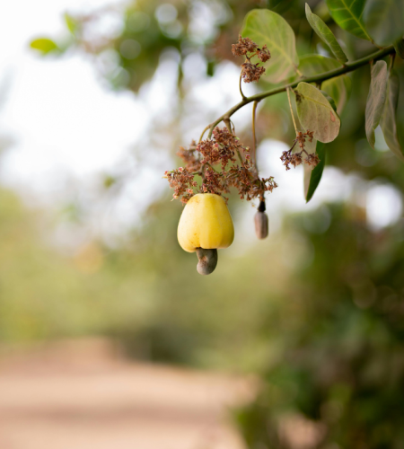 untitled design (14)